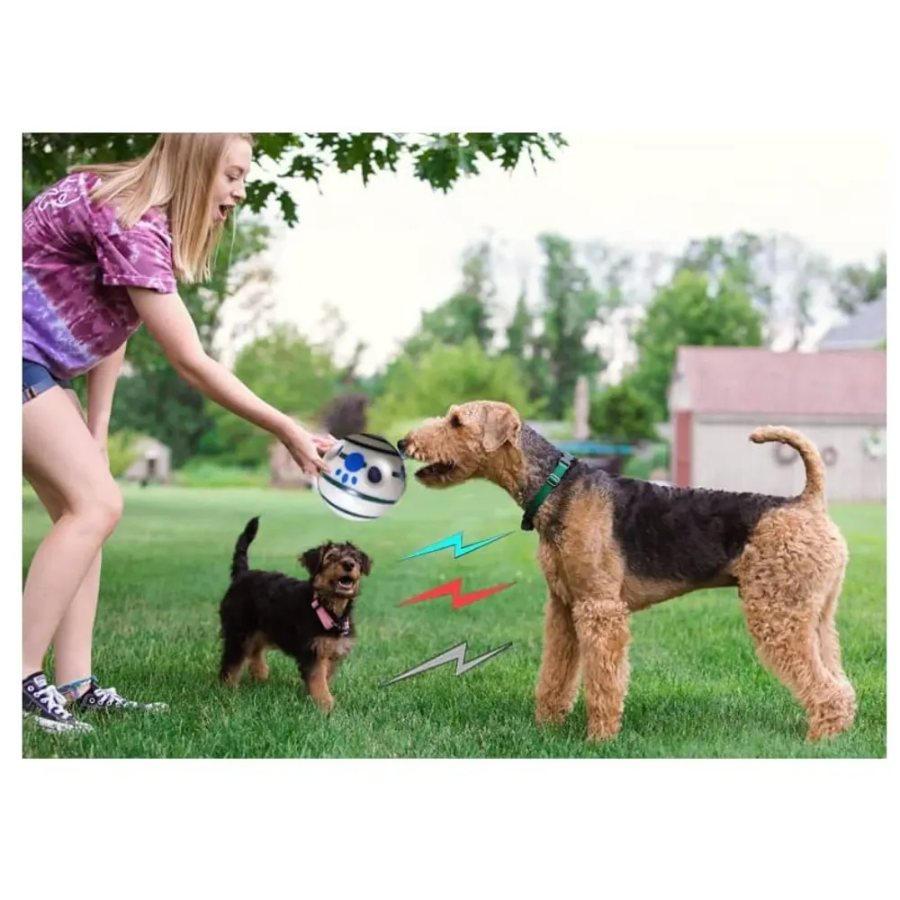 Glow Funny Sound Ball Interactive Dog Toy, Fun Sounds When Rolled or Shaken Funny Sound Ball Laughing Ball for Medium Large Pet Dogs, 5.5 Inch