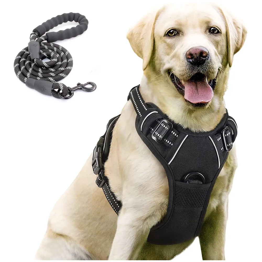 Vest Dog Harness Combo Vest and Leash Breathable Adjustable Dog Body Belt No Pulling No Chock Oxford Fabric for Labradors, Golden Retriever, German Shepherd, Black (Medium - 22-26 Inch)