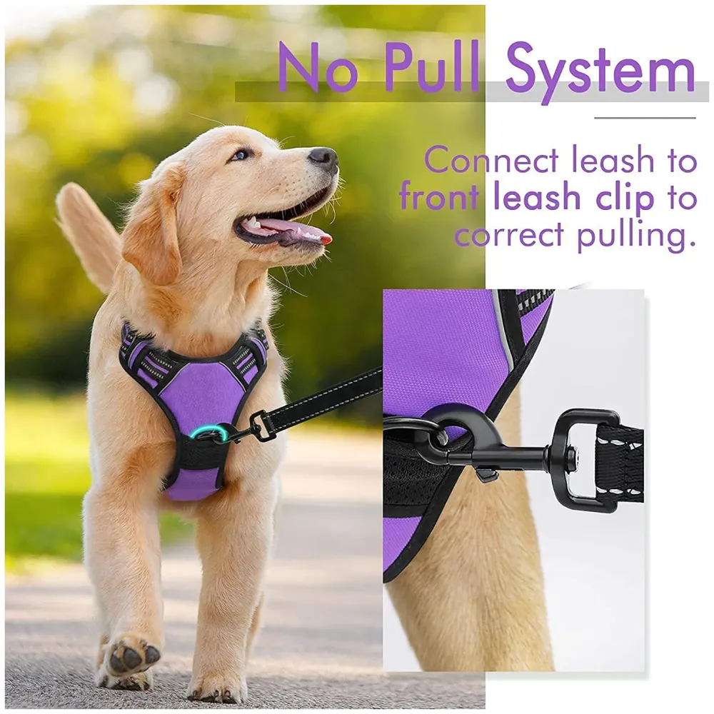 Harness and Leash Purple No Pull Dog Harness Mesh Breathable Adjustable Reflective Oxford Easy Control Comfortable Harness. Large 18-26 Inch Girth