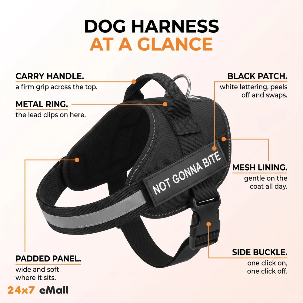 Dog Harness Dog Not Gonna Bite Vest Loop Straps and Handle and Adjustable (XL- 28-38 Inch Girth)