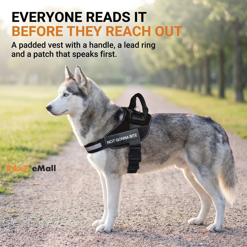 Dog Harness Dog Not Gonna Bite Vest Loop Straps and Handle and Adjustable (XL- 28-38 Inch Girth)
