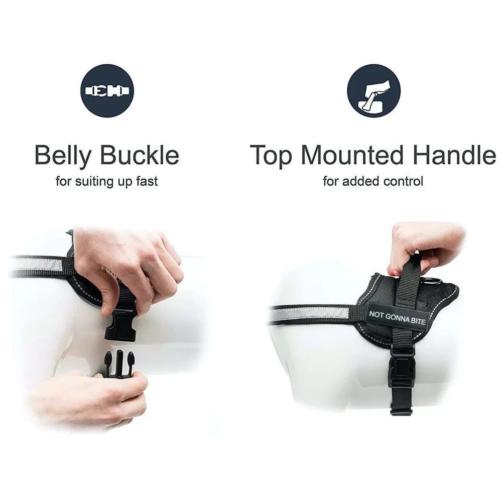 Dog Harness Dog Not Gonna Bite Vest Loop Straps and Handle and Adjustable (Medium 22-28 Inch Girth)