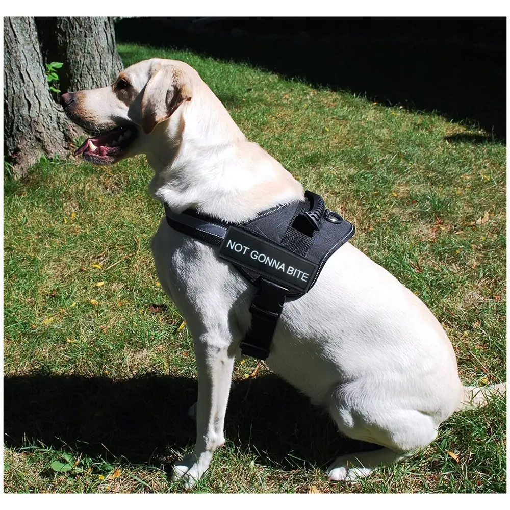 Dog Harness Dog Not Gonna Bite Vest Loop Straps and Handle and Adjustable (Medium 22-28 Inch Girth)