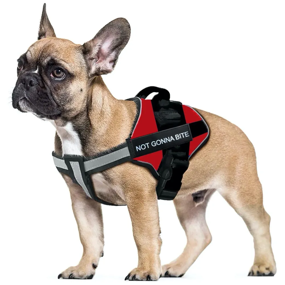 Red Dog Harness Dog Not Gonna Bite Vest Loop Straps and Handle and Adjustable (Medium 22-28 Inch Girth)