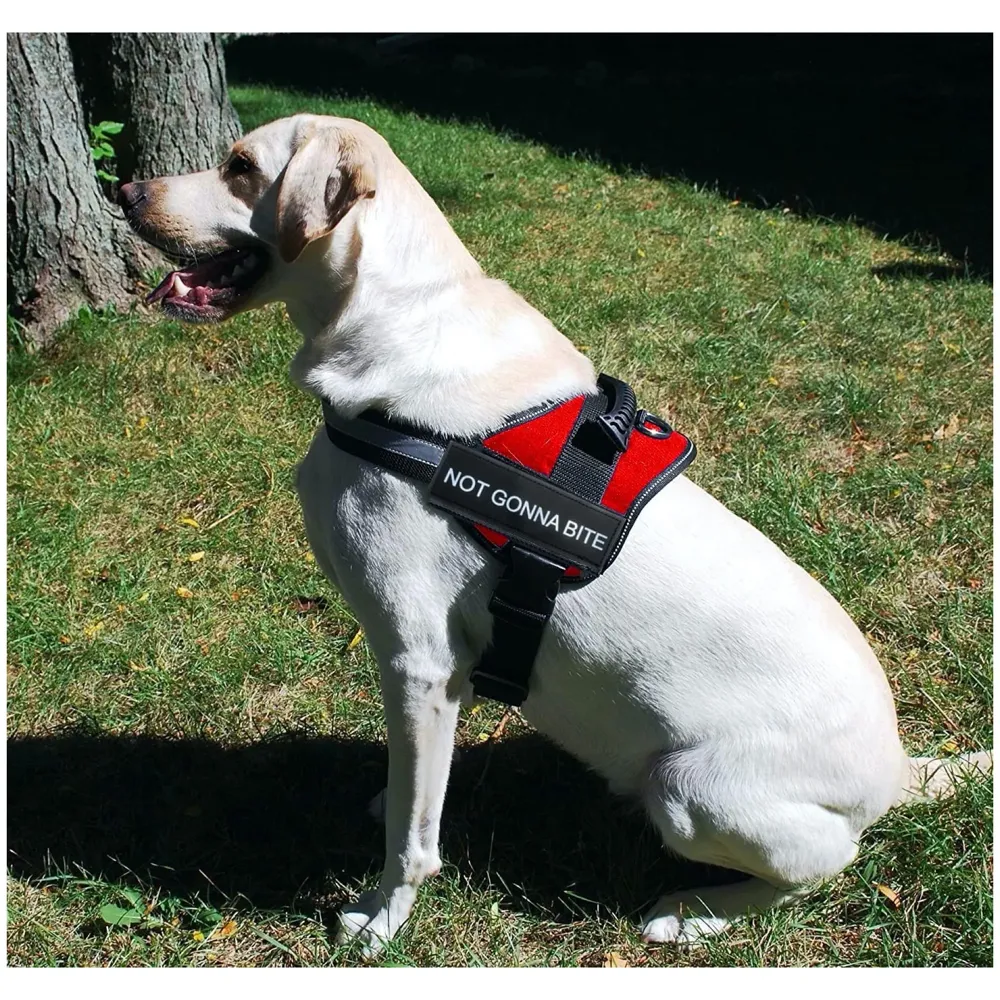 Red Dog Harness Dog Not Gonna Bite Vest Loop Straps and Handle and Adjustable (XL- 28-38 Inch Girth)