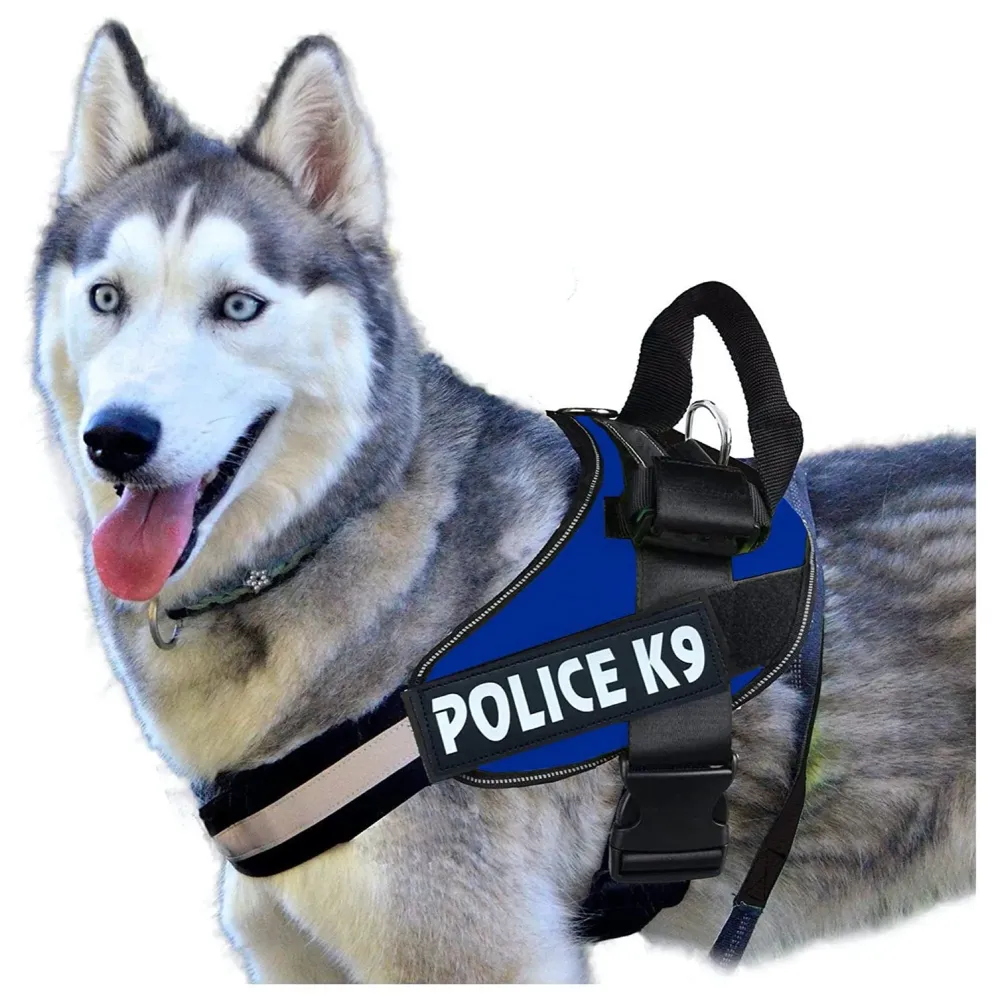 Dog K9 Police Harness Dog Vest Loop Straps and Handle and Adjustable (XL- 28-38 Inch Girth, Blue)