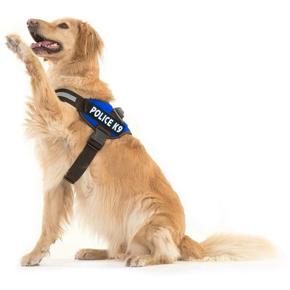 Dog K9 Police Harness Dog Vest Loop Straps and Handle and Adjustable (L - 28-34 Inch Girth, Blue)