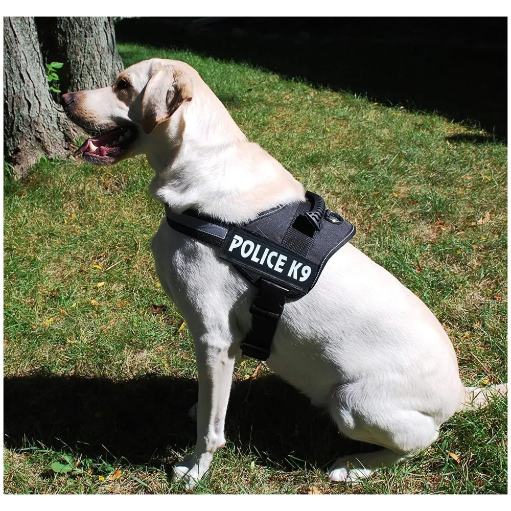 Dog K9 Police Harness Dog Vest Combo Black and Orange with 5ft Leash with Handle and Adjustable XL- 28-38 Inch Girth