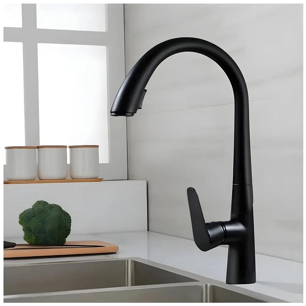 Kitchen Tap Pull Out Mixer 2 Flow Sprayer Black 42.5x26 cm Tap