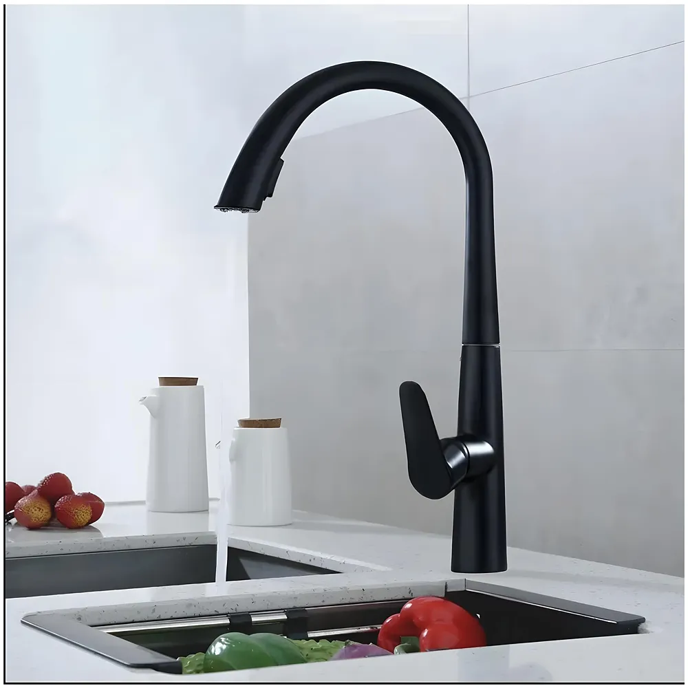 Kitchen Tap Pull Out Mixer 2 Flow Sprayer Black 42.5x26 cm Tap