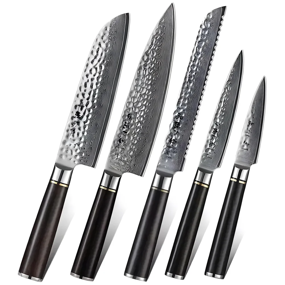5 Pcs Knife Japanese Knife with Damascus Pattern ~ Tsushima Collection ~ Chef Knife High Carbon Stainless Steel Laser Knives Kitchen 5 pcs