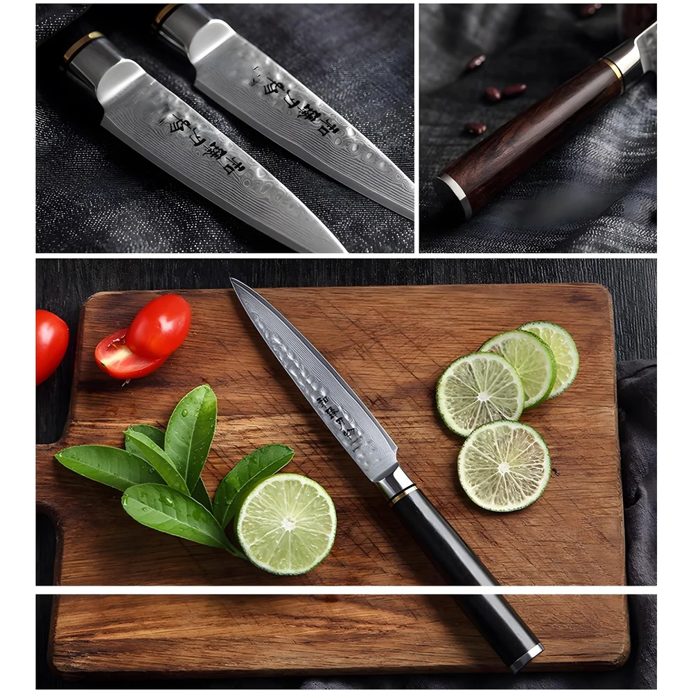5 Pcs Knife Japanese Knife with Damascus Pattern ~ Tsushima Collection ~ Chef Knife High Carbon Stainless Steel Laser Knives Kitchen 5 pcs