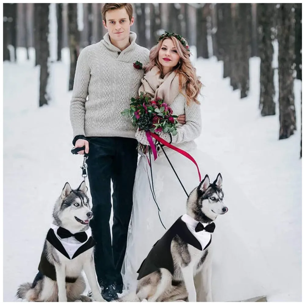 Dog Suit or Dog Tuxedo & Bandana Set, Dogs Wedding Party Suit, Dog Wedding Bow Tie Shirt Formal Dog Weeding Attire for Large & Medium Dogs
