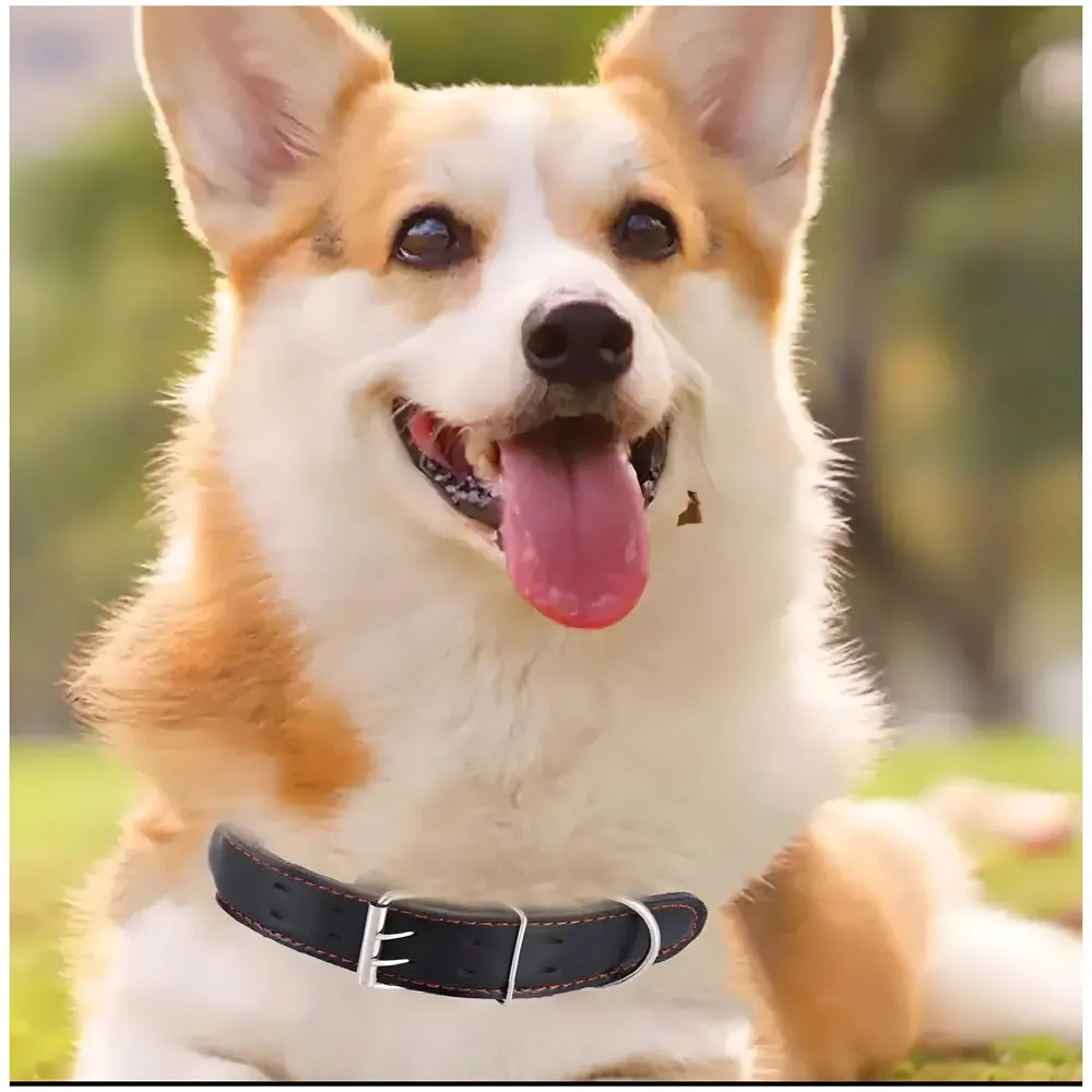 Black Dog Collar and Leash Combo Adjustable Dog Belt for Labradors, Golden Retriever, German Shepherd, Soft Handle Faux Leather, Black 48-58cm Collar / 140cm Leash
