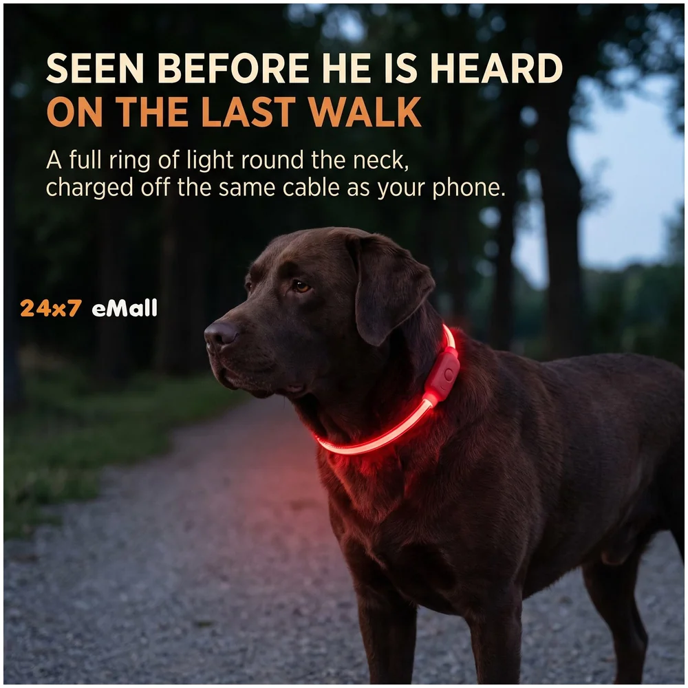 LED Dog Collar USB Rechargeable 70-20 cm Red for Night Walking