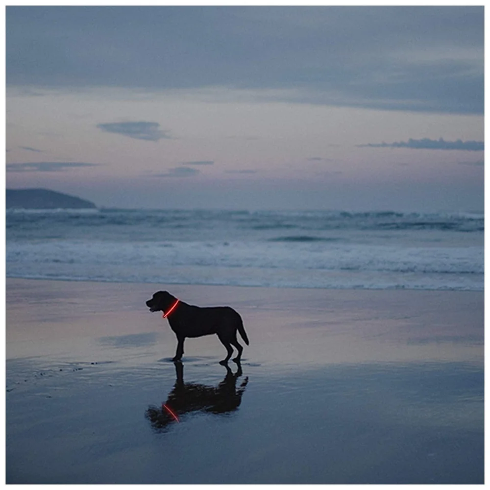 LED Dog Collar USB Rechargeable 70-20 cm Red for Night Walking
