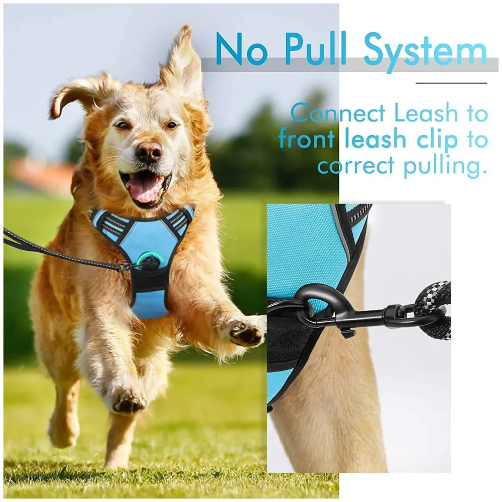 Blue No Pull Dog Harness Mesh Breathable Adjustable Reflective Oxford Easy Control Comfortable Harness. Large 18-26 Inch Girth