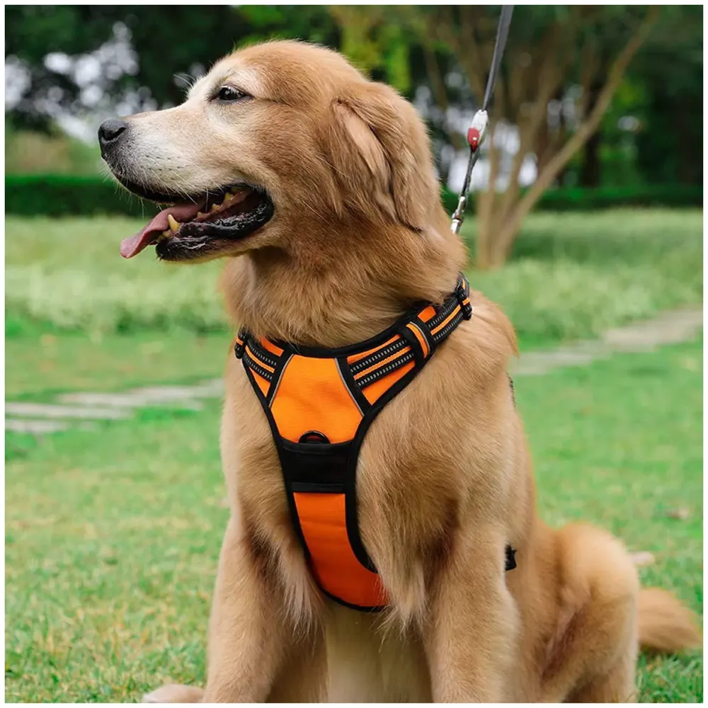 Orange No Pull Dog Harness Mesh Breathable Adjustable Reflective Oxford Easy Control Comfortable Harness. Large 18-26 Inch Girth