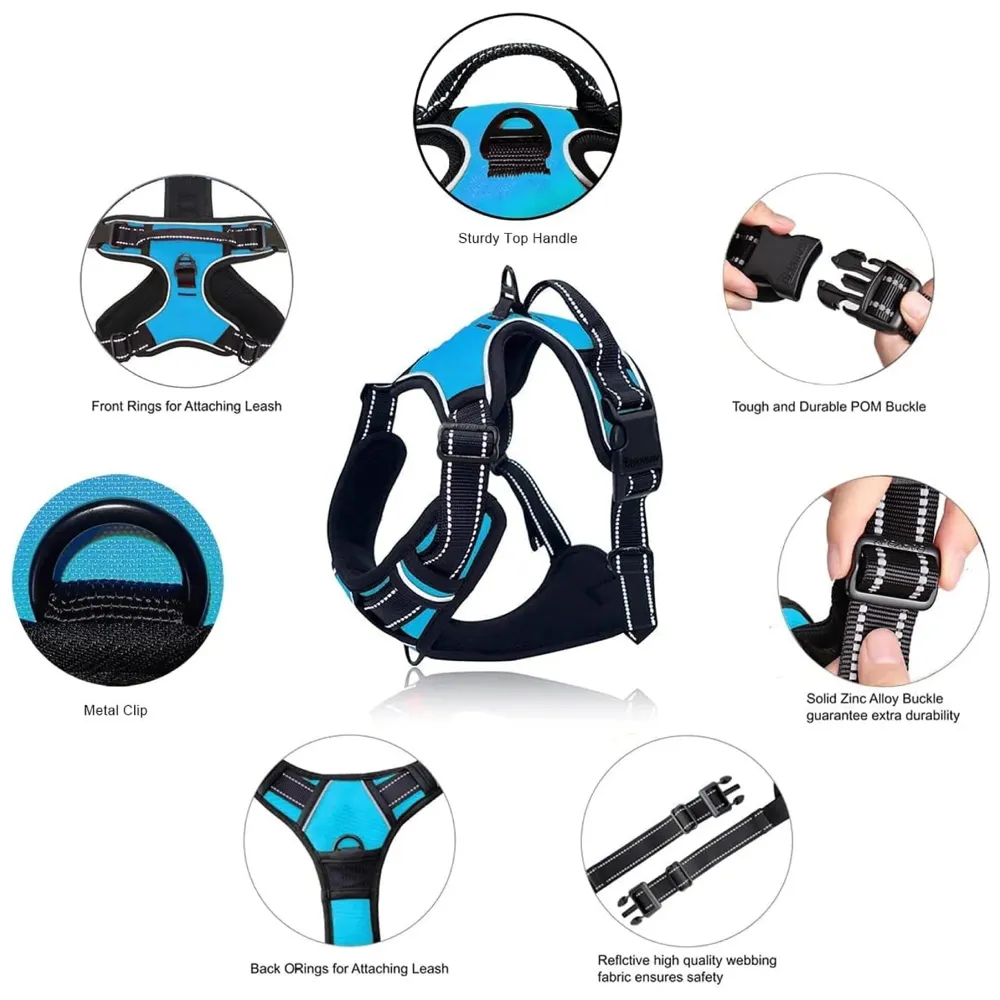 Combo Harness and Leash Blue No Pull Dog Harness Mesh Breathable Adjustable Reflective Oxford Easy Control Comfortable Harness. Large 18-26 Inch Girth