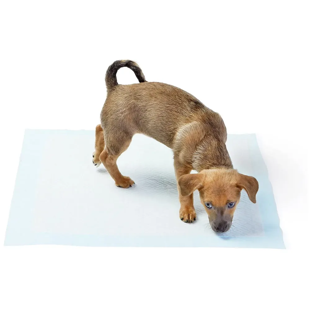 Dog Urine Pad ~ Pee Pads Ideal for House Breaking and Potty Training (Regular 45 X 60 CMS, 25)