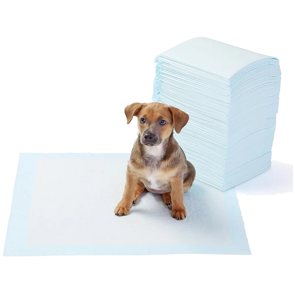 40 Pc Large Puppy Pee Pad ~ Pee Pads Ideal for House Breaking and Potty Training Large 60 x 60 CMS, 40pcs - 24 inch x 24 inch