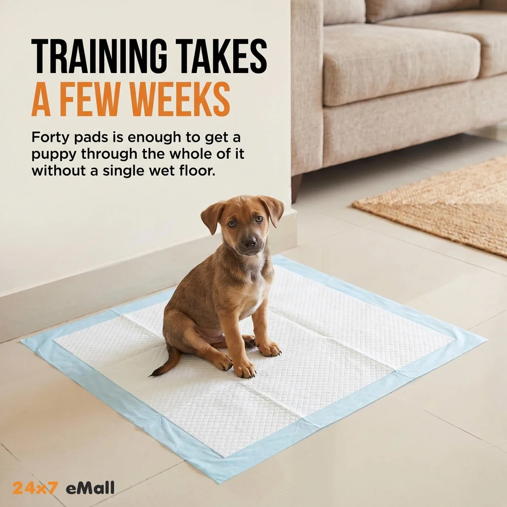 40 Pc Large Puppy Pee Pad ~ Pee Pads Ideal for House Breaking and Potty Training Large 60 x 60 CMS, 40pcs - 24 inch x 24 inch