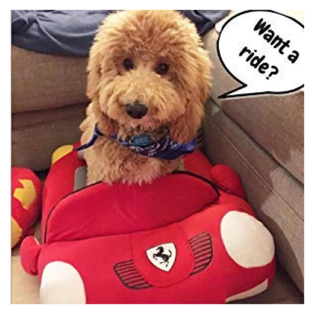 Cute Cozy Black Car Pet Beds Cover for Small to Medium Size Dog 27.6" X 19.7" X 7.9" (Red)