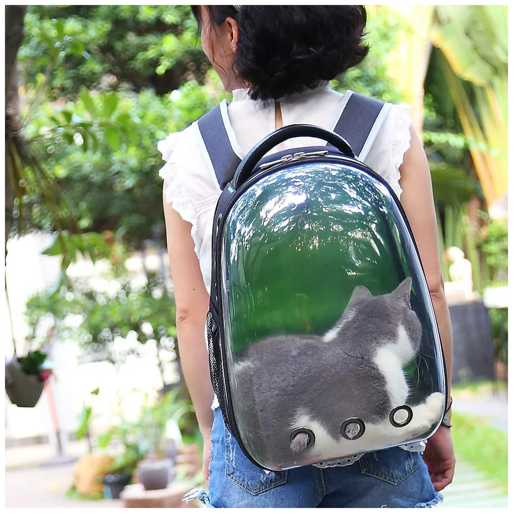 Pet Backpack Carrier Capsule Window Black for Cats Small Dogs
