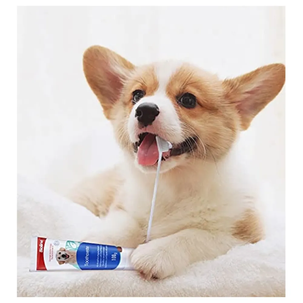 Chicken Dog Tooth Brushing Kit Teeth Cleaning Kit Plaque and Tartar Control Toothpaste with 3 Toothbrush for Dogs Eliminates Bad Breath, Dog Toothpaste Chicken Flavour.
