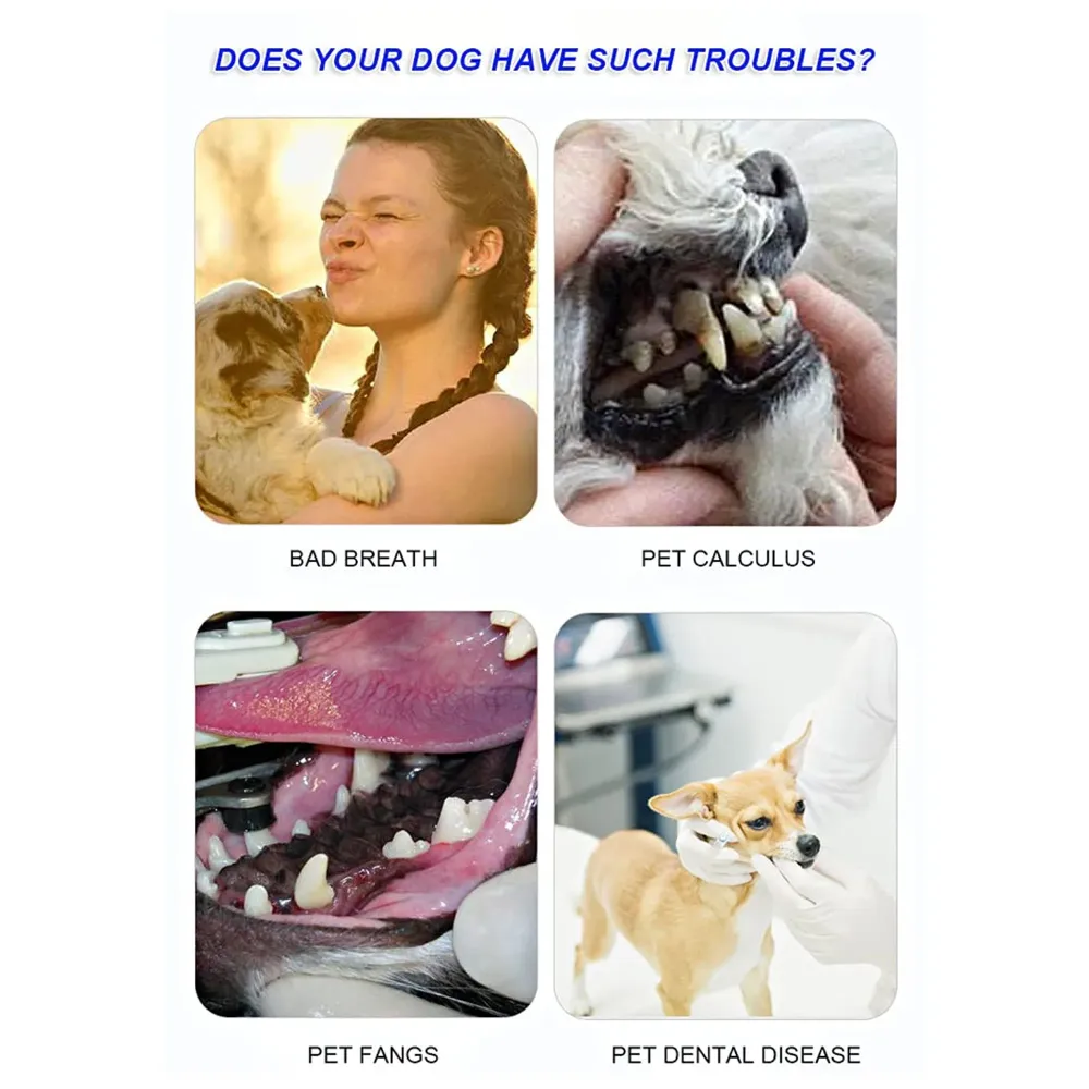 Chicken Dog Tooth Brushing Kit Teeth Cleaning Kit Plaque and Tartar Control Toothpaste with 3 Toothbrush for Dogs Eliminates Bad Breath, Dog Toothpaste Chicken Flavour.