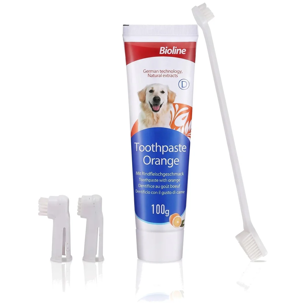 Orange Flavour Dog Tooth Brushing Kit Toothpaste and 3 Brushes