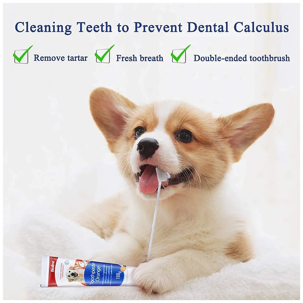 Orange Flavour Dog Tooth Brushing Kit Toothpaste and 3 Brushes