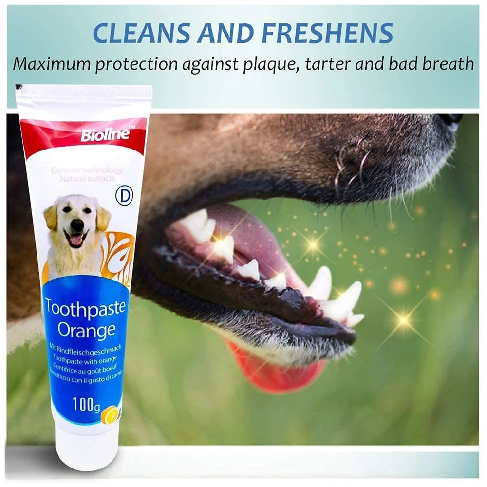 Orange Flavour Dog Tooth Brushing Kit Toothpaste and 3 Brushes