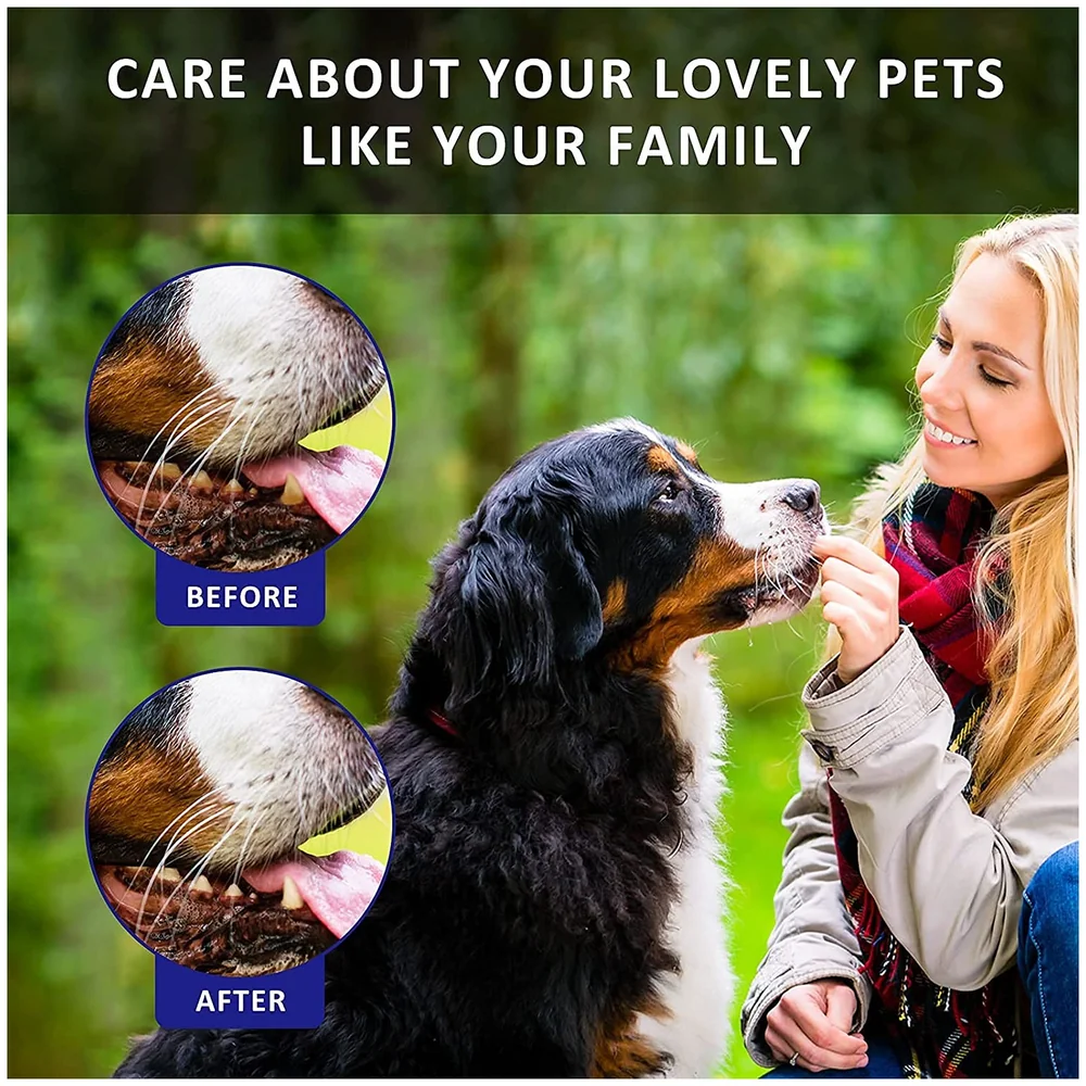 Orange Flavour Dog Tooth Brushing Kit Toothpaste and 3 Brushes