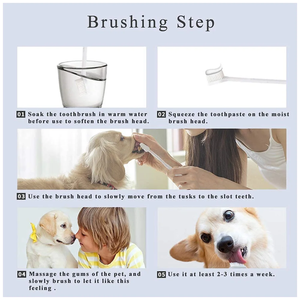 Orange Flavour Dog Tooth Brushing Kit Toothpaste and 3 Brushes
