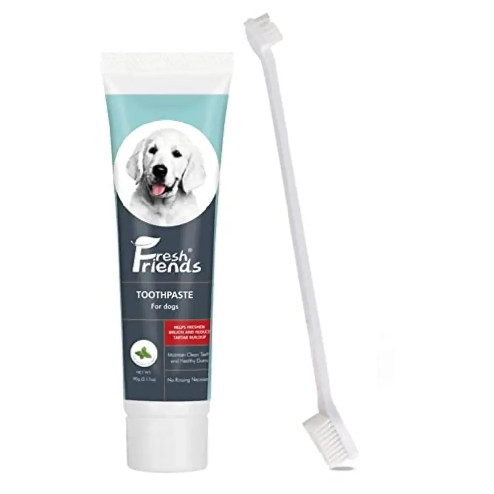 Mint Dog Tooth Brushing Kit Teeth Cleaning Kit Plaque and Tartar Control Toothpaste with 1 Toothbrush for Dogs Eliminates Bad Breath, Dog Toothpaste Mint Flavour.