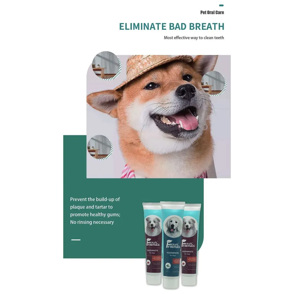 Mint Dog Tooth Brushing Kit Teeth Cleaning Kit Plaque and Tartar Control Toothpaste with 1 Toothbrush for Dogs Eliminates Bad Breath, Dog Toothpaste Mint Flavour.