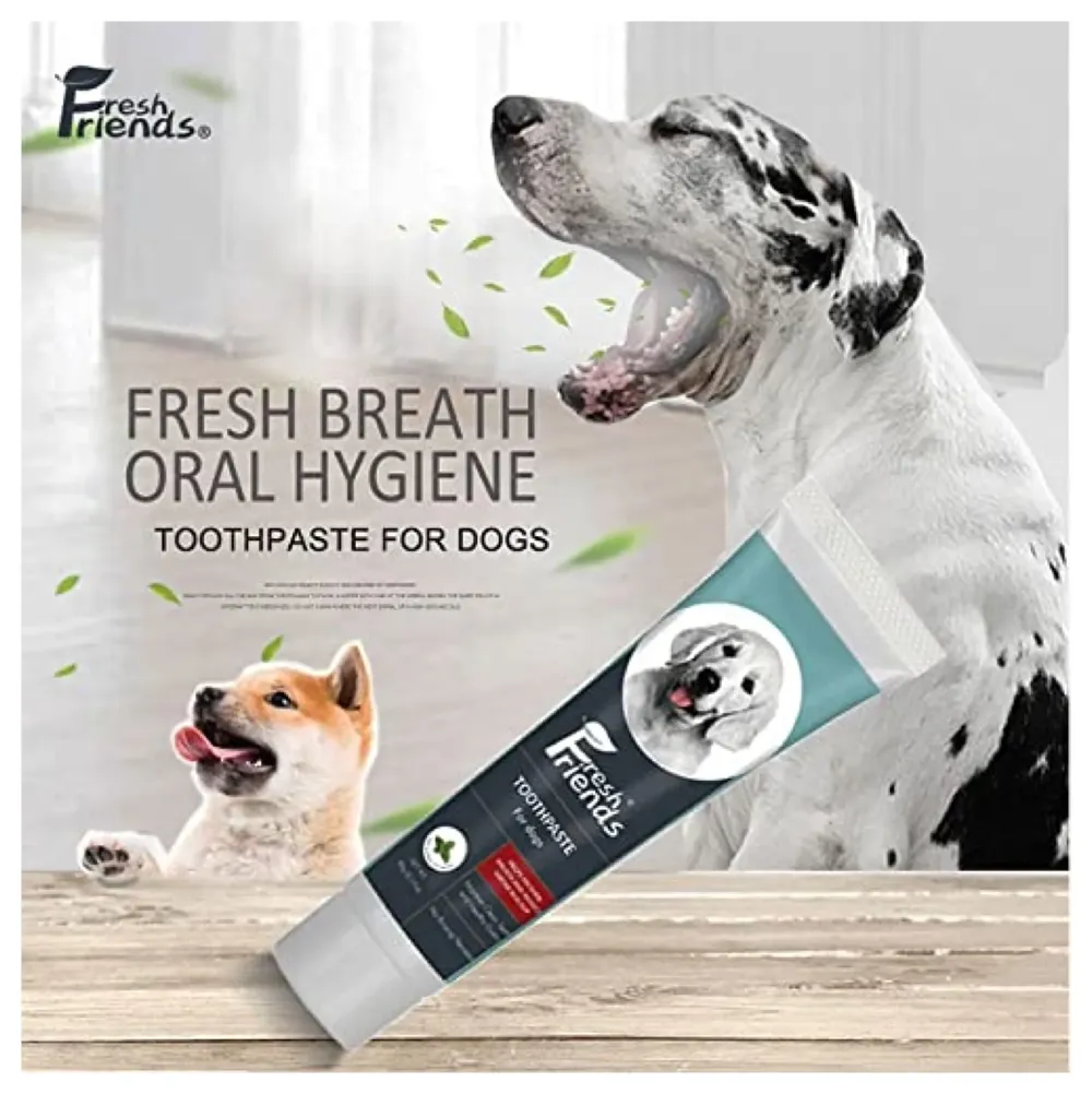 Mint Dog Tooth Brushing Kit Teeth Cleaning Kit Plaque and Tartar Control Toothpaste with 1 Toothbrush for Dogs Eliminates Bad Breath, Dog Toothpaste Mint Flavour.