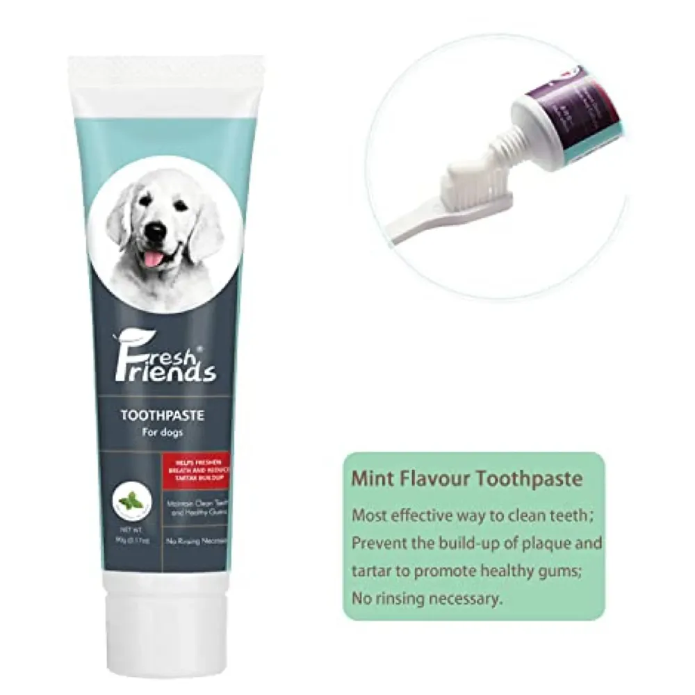 Mint Dog Tooth Brushing Kit Teeth Cleaning Kit Plaque and Tartar Control Toothpaste with 1 Toothbrush for Dogs Eliminates Bad Breath, Dog Toothpaste Mint Flavour.