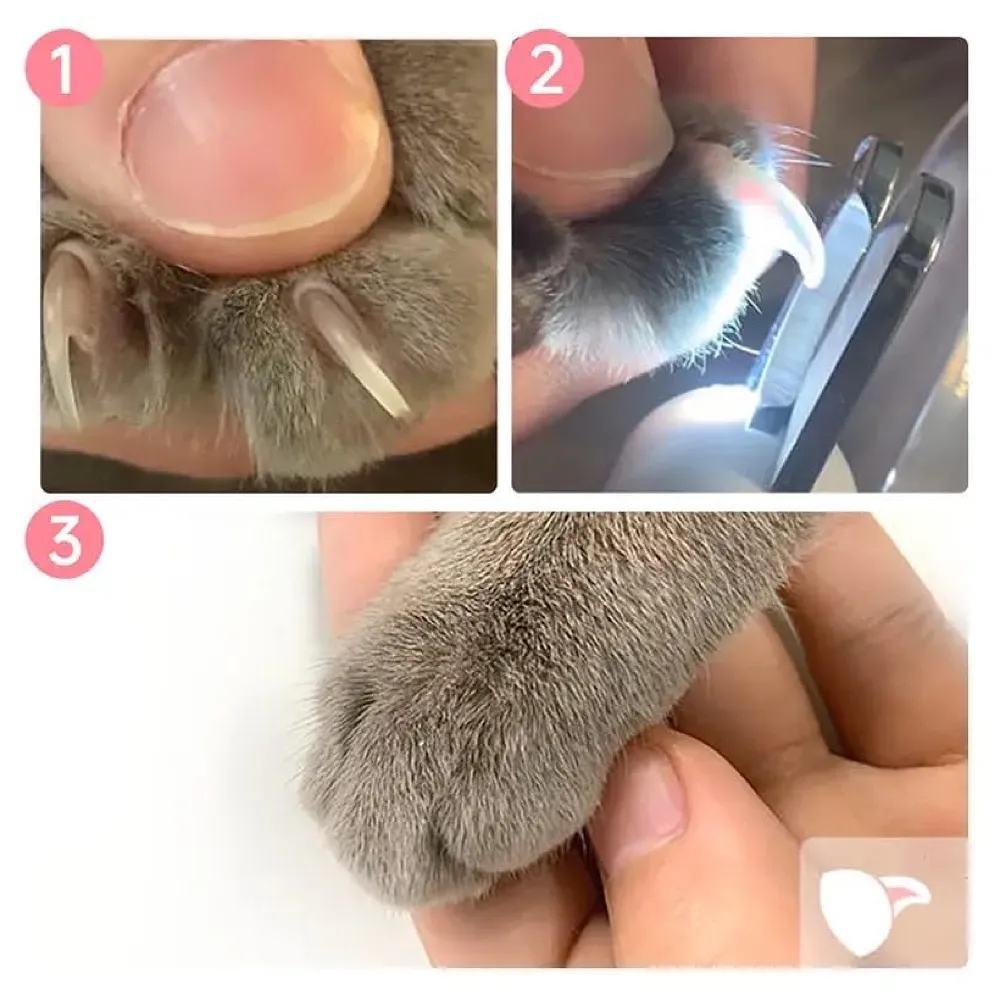 Pets Nail Trimmer, Dog and Cat Nail Cutter Clipper LED Lights for Pets Nail Grinder Filer Grooming Pet for All Breeds - Premium