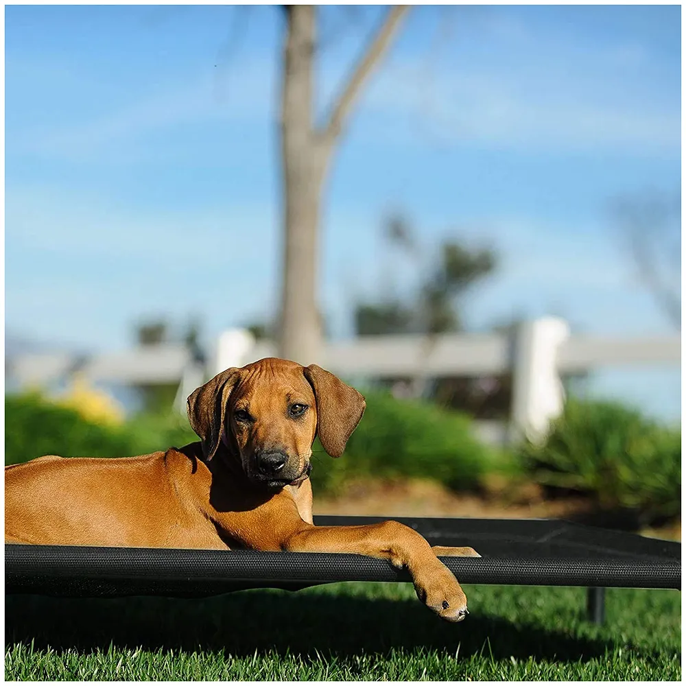 Elevated Dog Bed, Portable Raised Pet Cot, Sturdy & Breathable Mat, Durable Mesh Fabric, No-Slip Feet, Indoor or Outdoor Use. (Medium (36 x 24 Inch)) - Premium