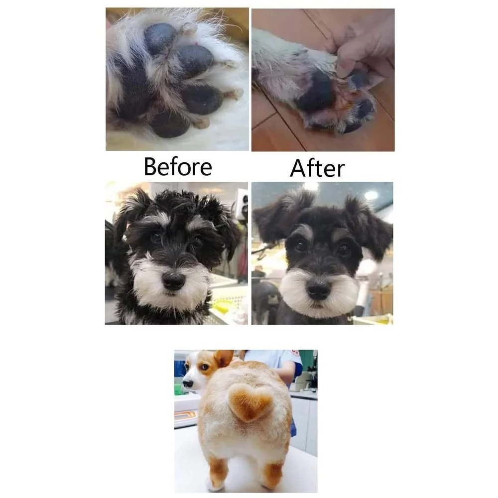 Pet Paw Shaver Trimmer Fine Hair Inside Paws Precise Cut Black