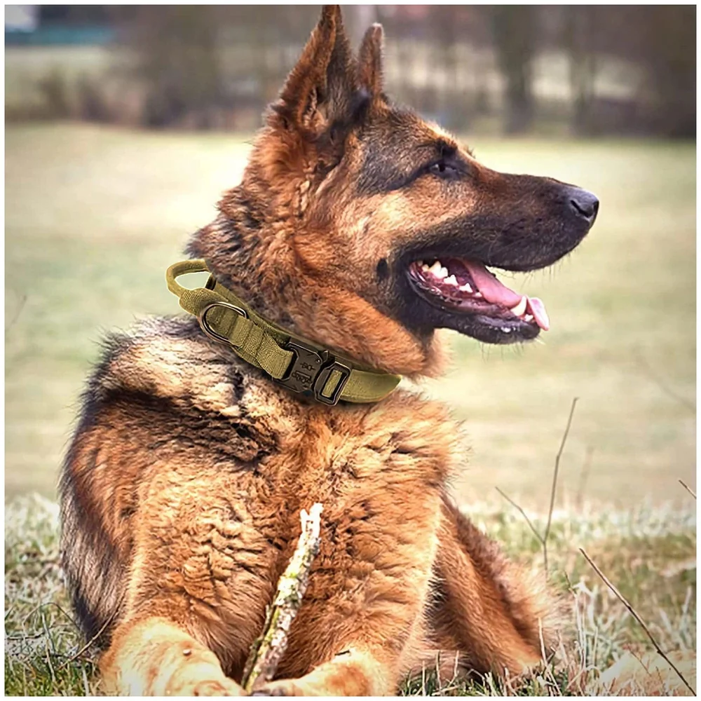 Dog Collar Adjustable Nylon Tactical Dog Collar Military Collar with Strap Handle Dog Training Collar Quick Release Metal Buckle (Large - 16-21 Inch)