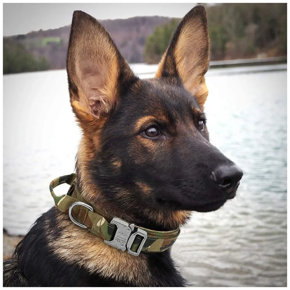 Dog Collar Adjustable Nylon Tactical Dog Collar Military Collar with Strap Handle Dog Training Collar Quick Release Metal Buckle (Medium - 14-19 Inch)