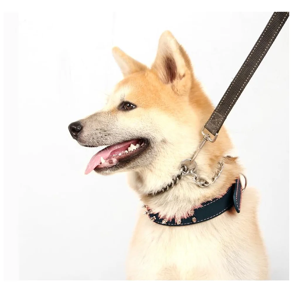 Spiked Dog Collar PU Leather Black 45-52 cm for Medium Large Dogs
