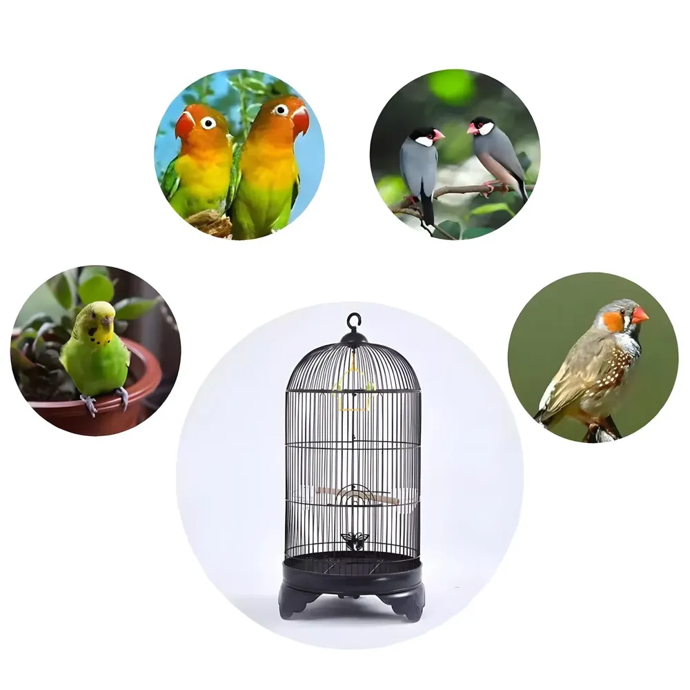 Bird Cage Black, Iron, Round, Metal Bird Cage, House Parrot, Myna, Metal Cage, Easy to Clean, Large Moving Space, Size Regular (52 x 25 CM)