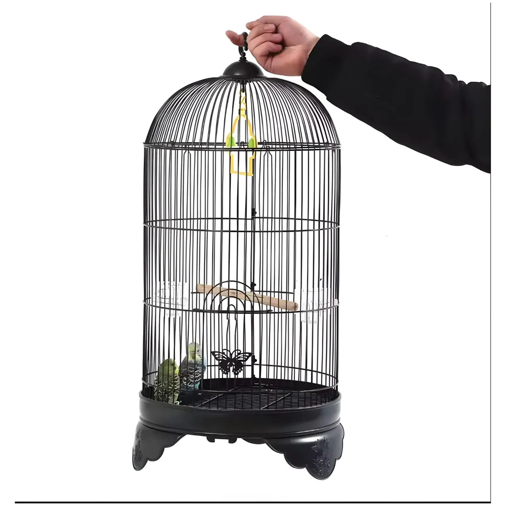 Bird Cage Black, Iron, Round, Metal Bird Cage, House Parrot, Myna, Metal Cage, Easy to Clean, Large Moving Space, Size (Large (60 x 35 CM))