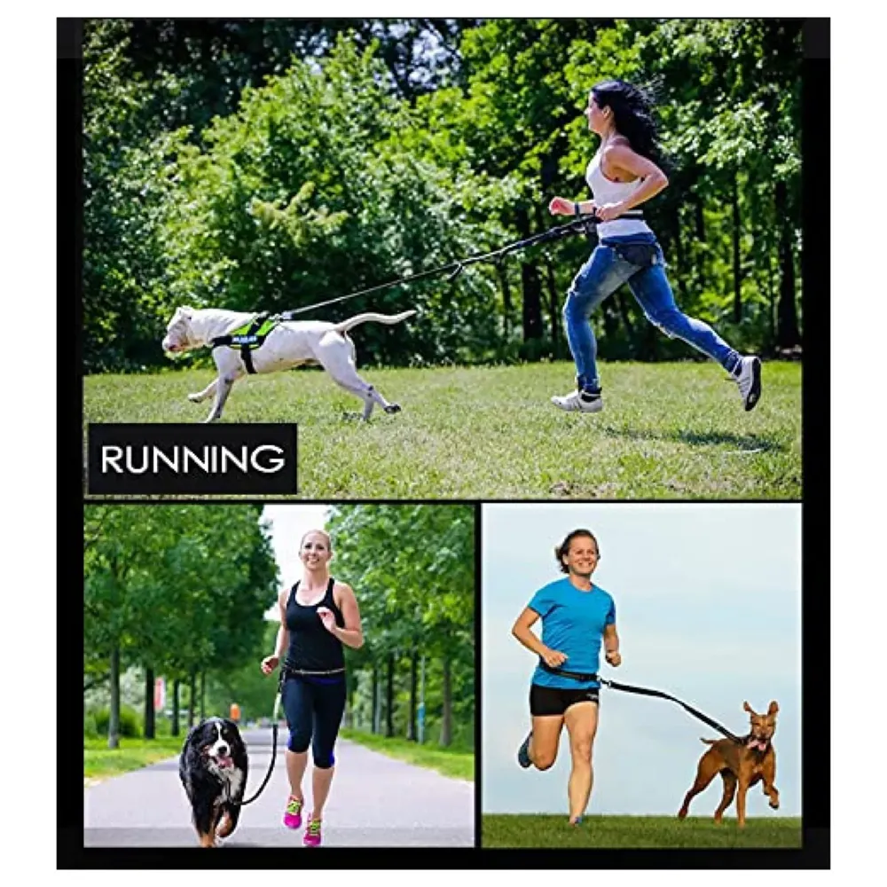 Waist Leash Hands Free Dog Leash Extendable Bungee Dogs Running Walking Jogging Adjustable Waist Belt.